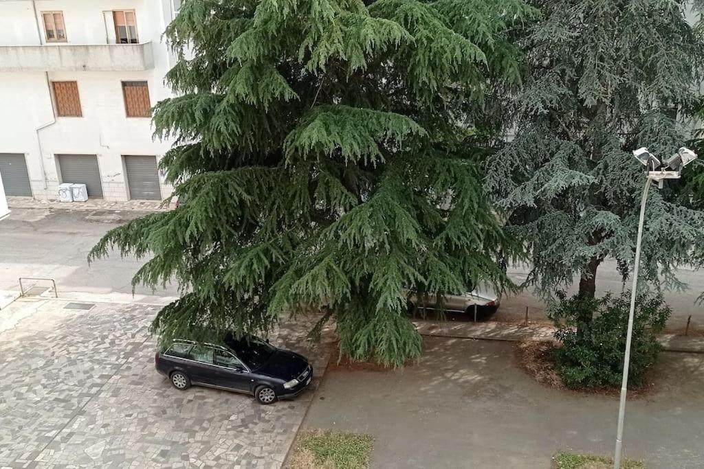Appartamento Terrazza Bella Vista Cisternino Εξωτερικό φωτογραφία